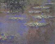 Water Lilies